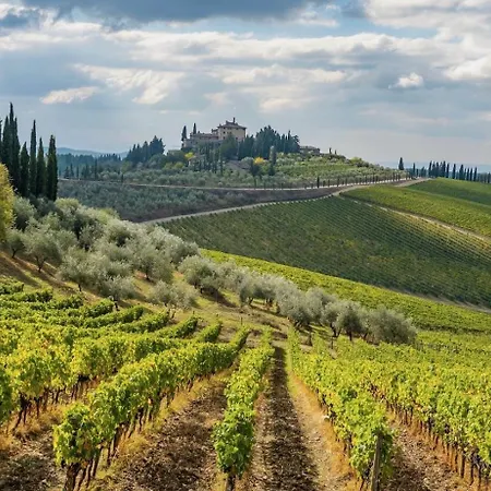 Domaine Du Baron Bed & Breakfast