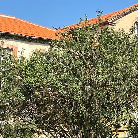Domaine Du Baron Alzonne