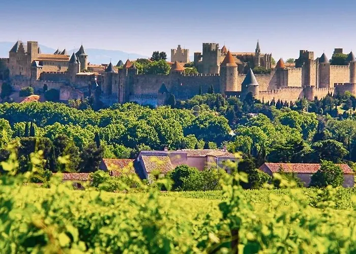 Domaine Du Baron Alzonne